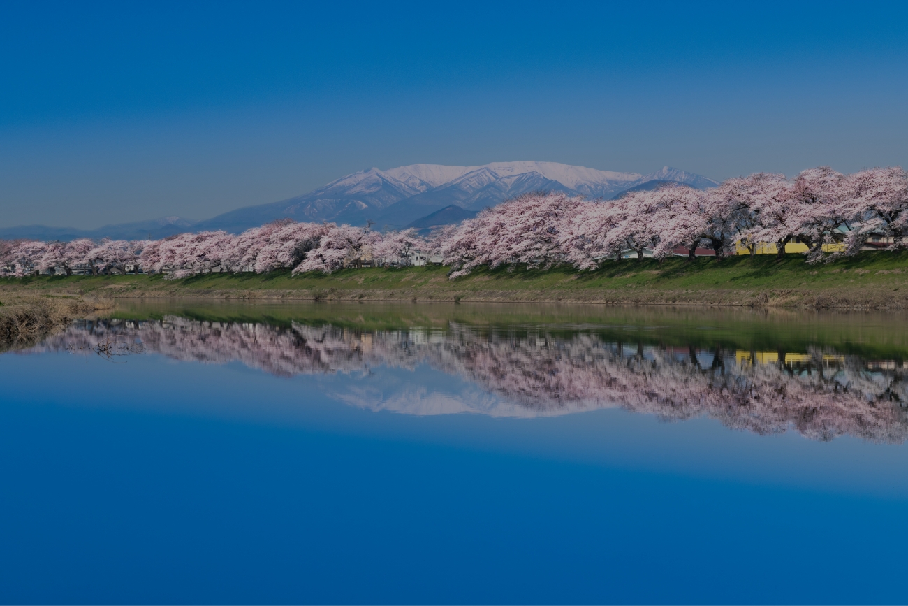 きれいな風景